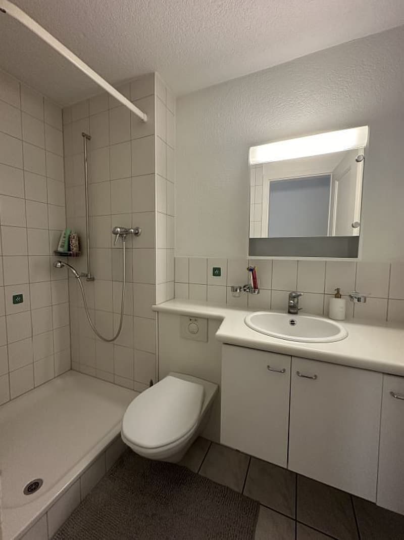 3-Zimmerwohnung im 1. Stock links (7)