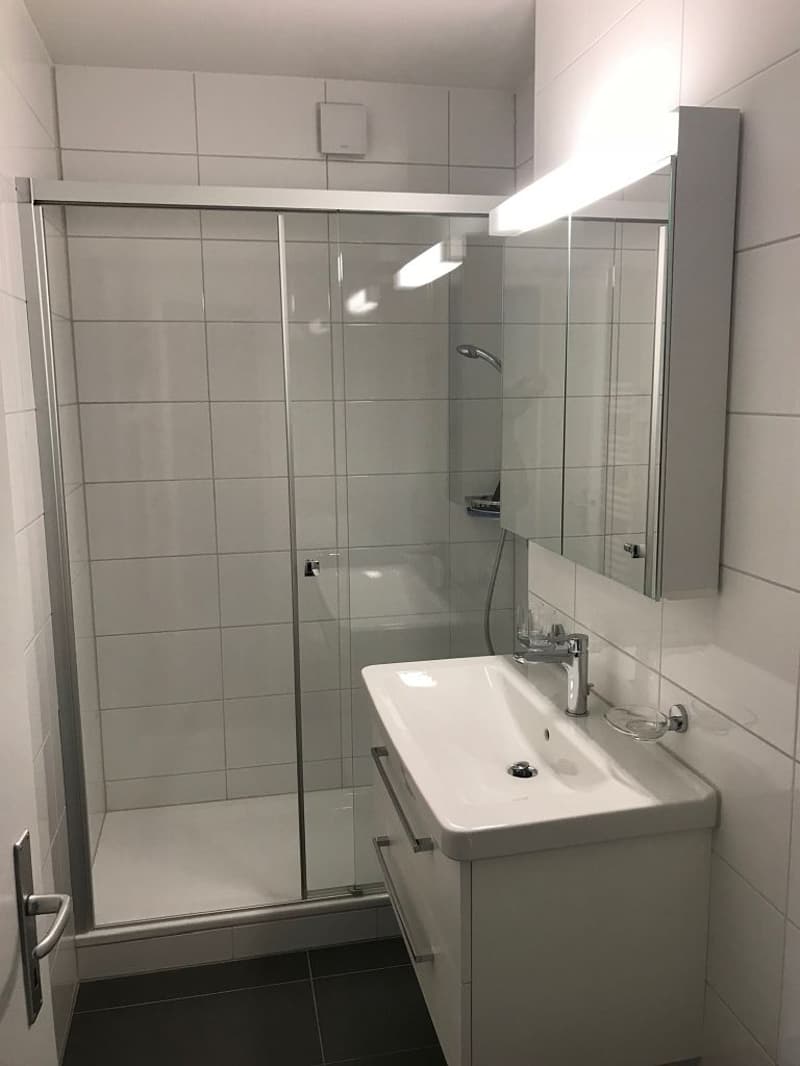 Moderne 3-Zimmerwohnung mit Balkon (3)