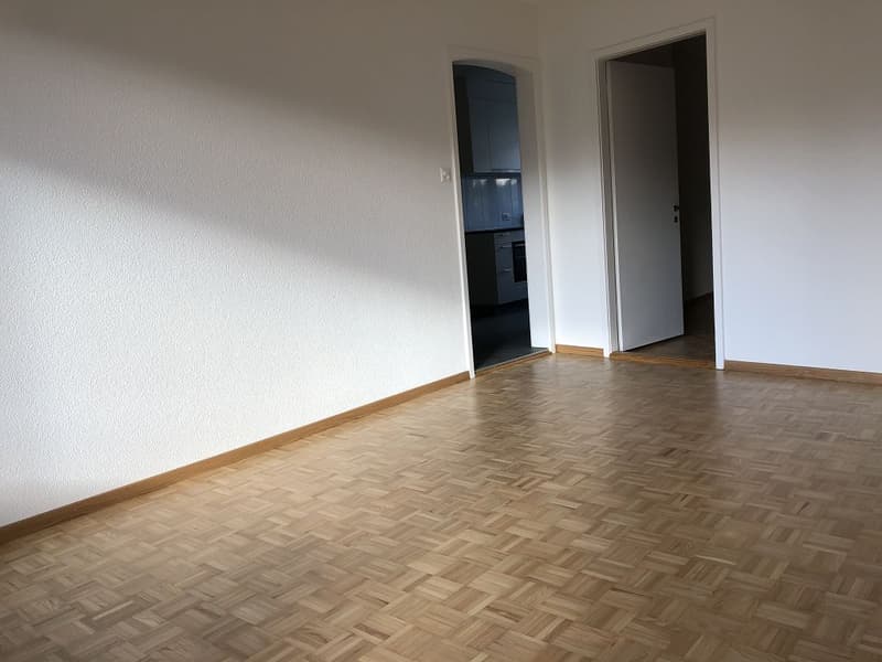 4 1/2-Zimmerwohnung, 3. Stock links (7)
