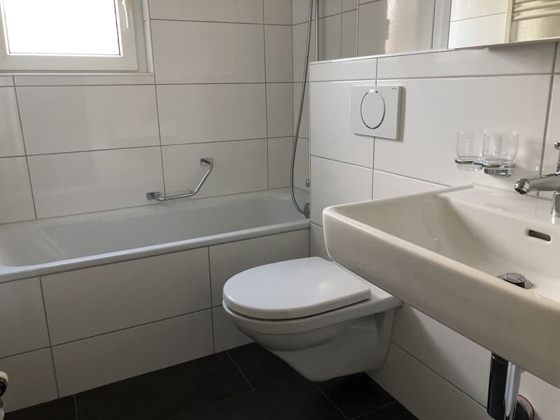 4 1/2-Zimmerwohnung, 3. Stock links (2)