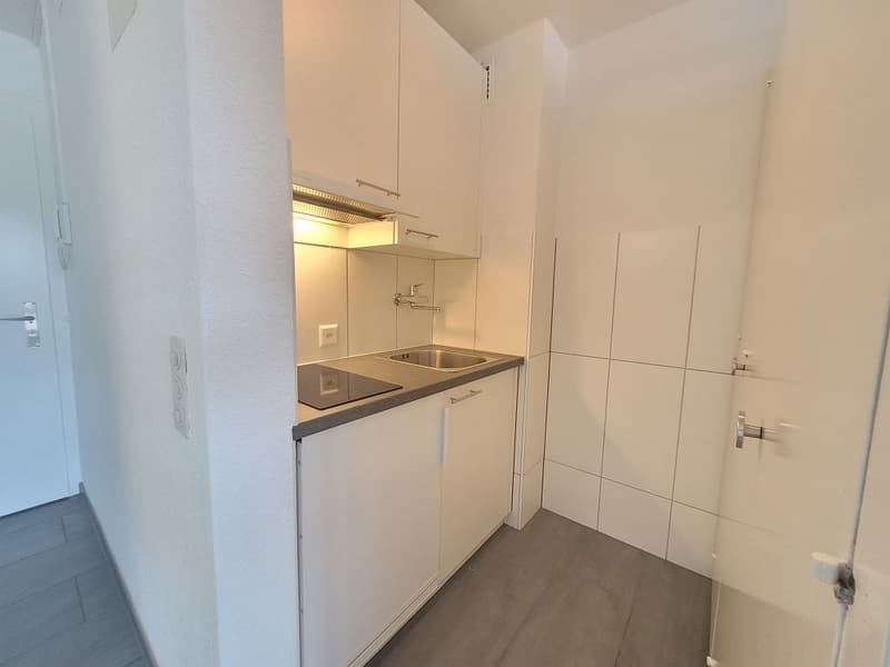 1 1/2-Zimmerwohnung, Parterre Mitte (1)