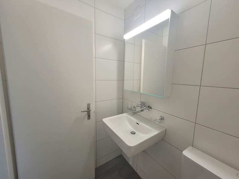 1 1/2-Zimmerwohnung, Parterre Mitte (3)