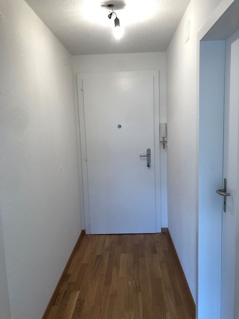 1-Zimmerwohnung, 2. Stock mitte (2)