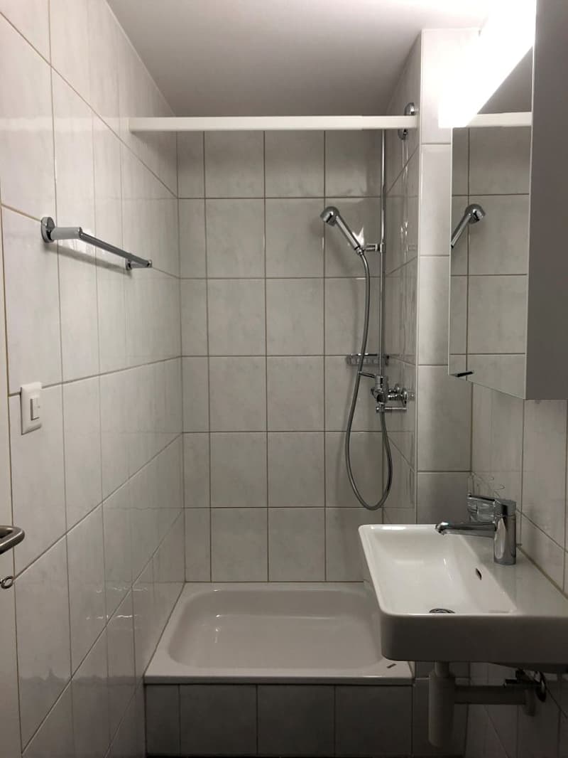 1-Zimmerwohnung, 2. Stock mitte (4)