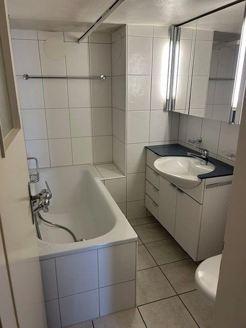 3 1/2 Zimmerwohnung, 2. Stock (10)