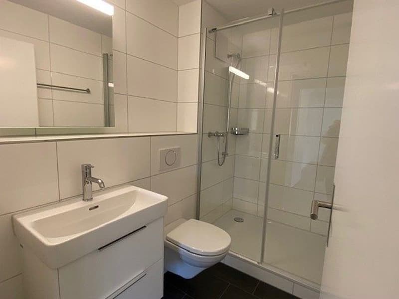 2- Zimmerwohnung, 1. Stock rechts (6)
