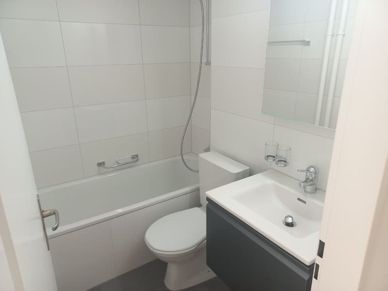 schöne 2 1/2-Zimmerwohnung im 1. Stock (5)
