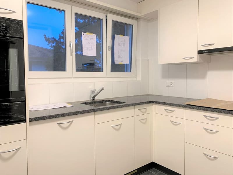 3 1/2-Zimmerwohnung, 1. Stock rechts (3)