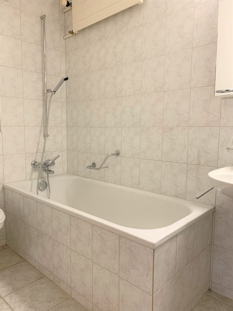 3 1/2-Zimmerwohnung, 1. Stock rechts (6)