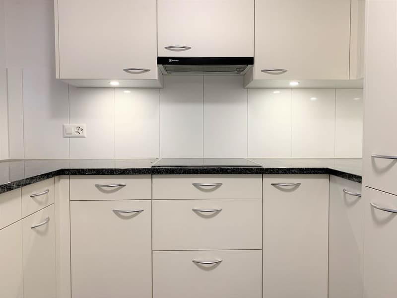 3 1/2-Zimmerwohnung, 1. Stock rechts (2)