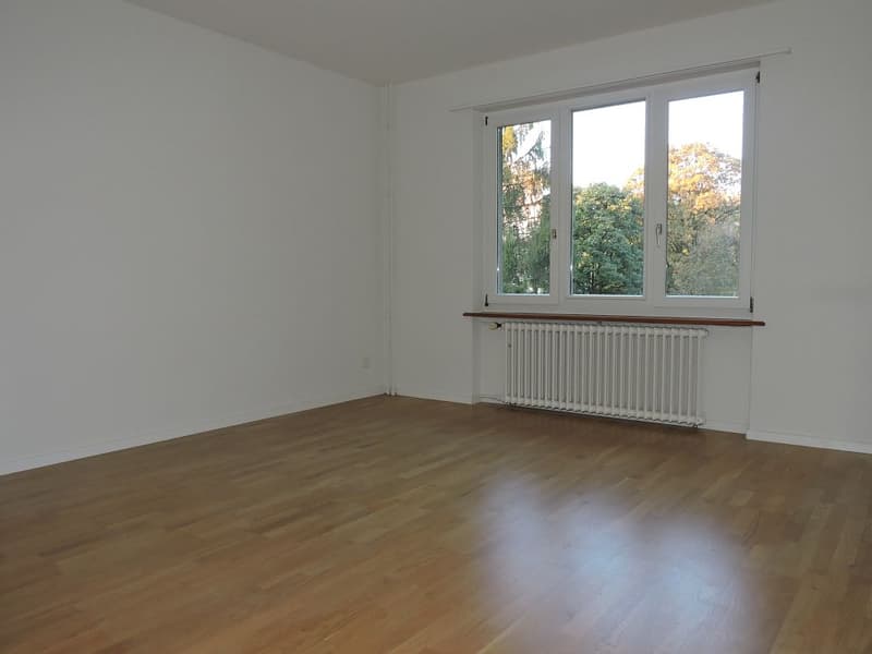 3 1/2 Zimmerwohnung, 2. Stock rechts (5)