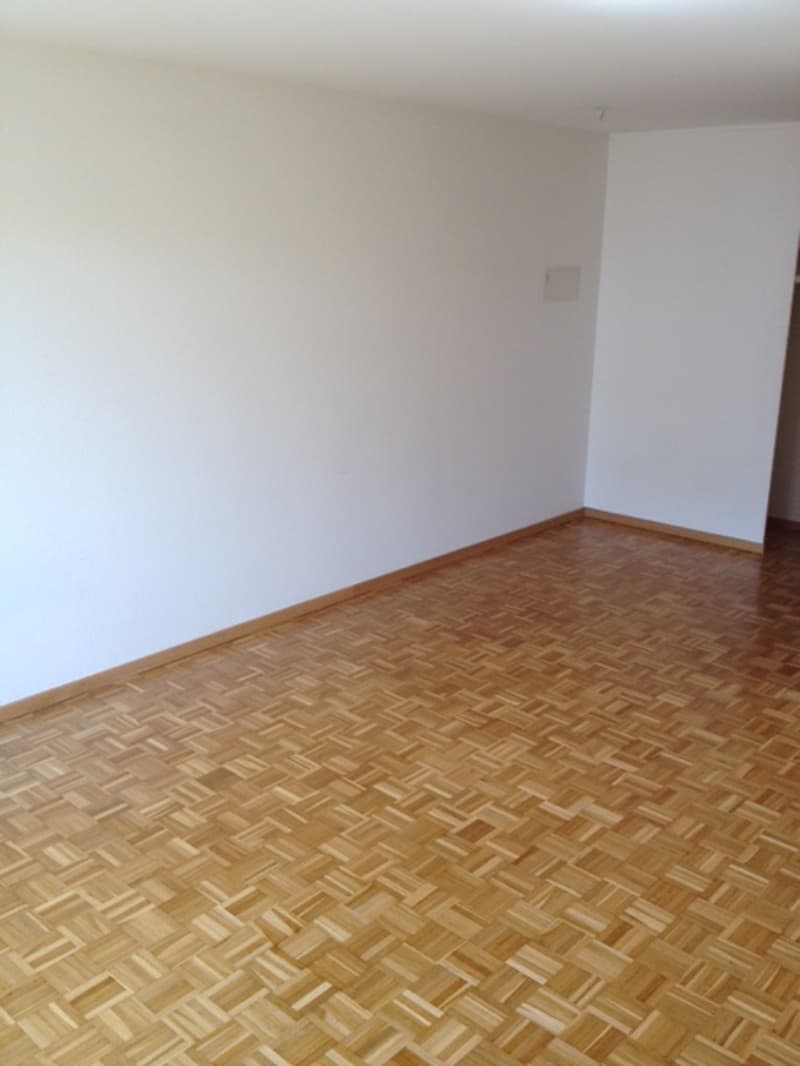1 1/2-Zimmerwohnung, 3. Stock Mitte (6)