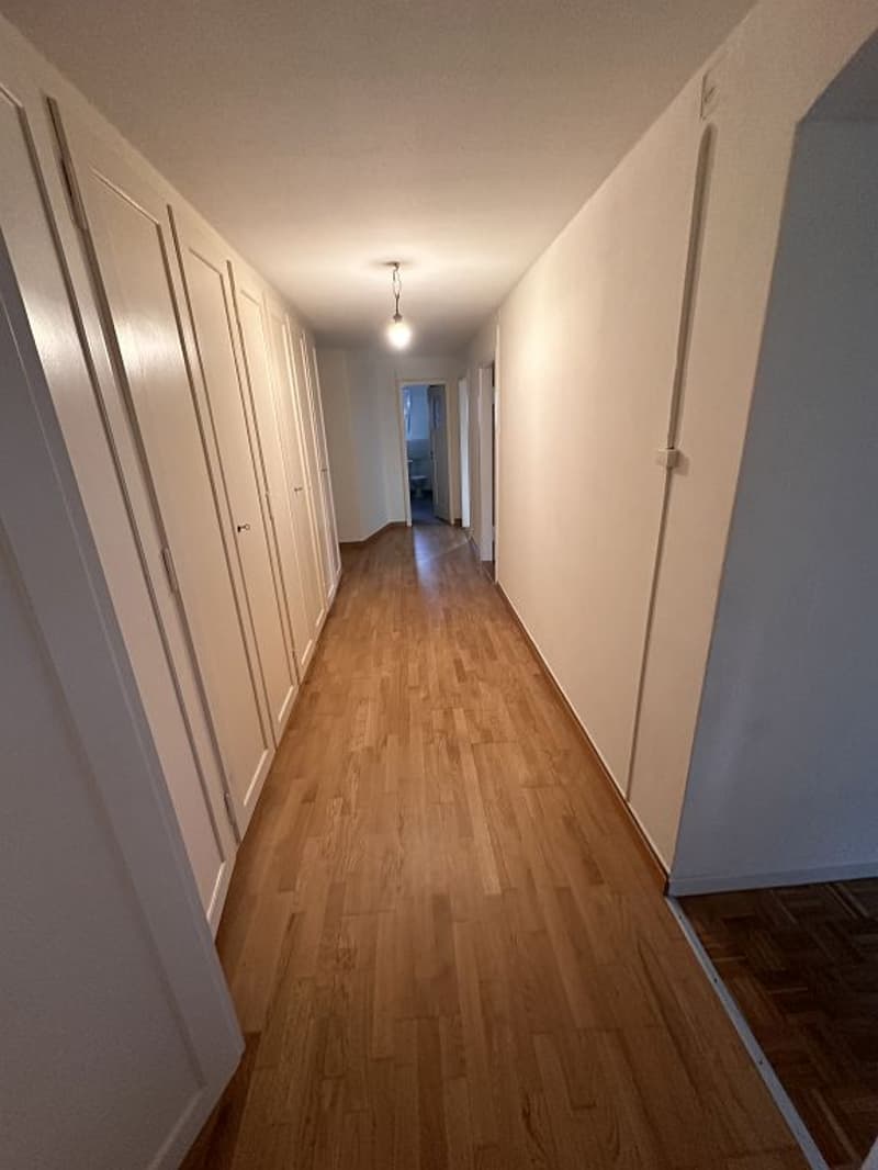 Charmante 4 1/2-Zimmerwohnung, 2. Stock links (2)