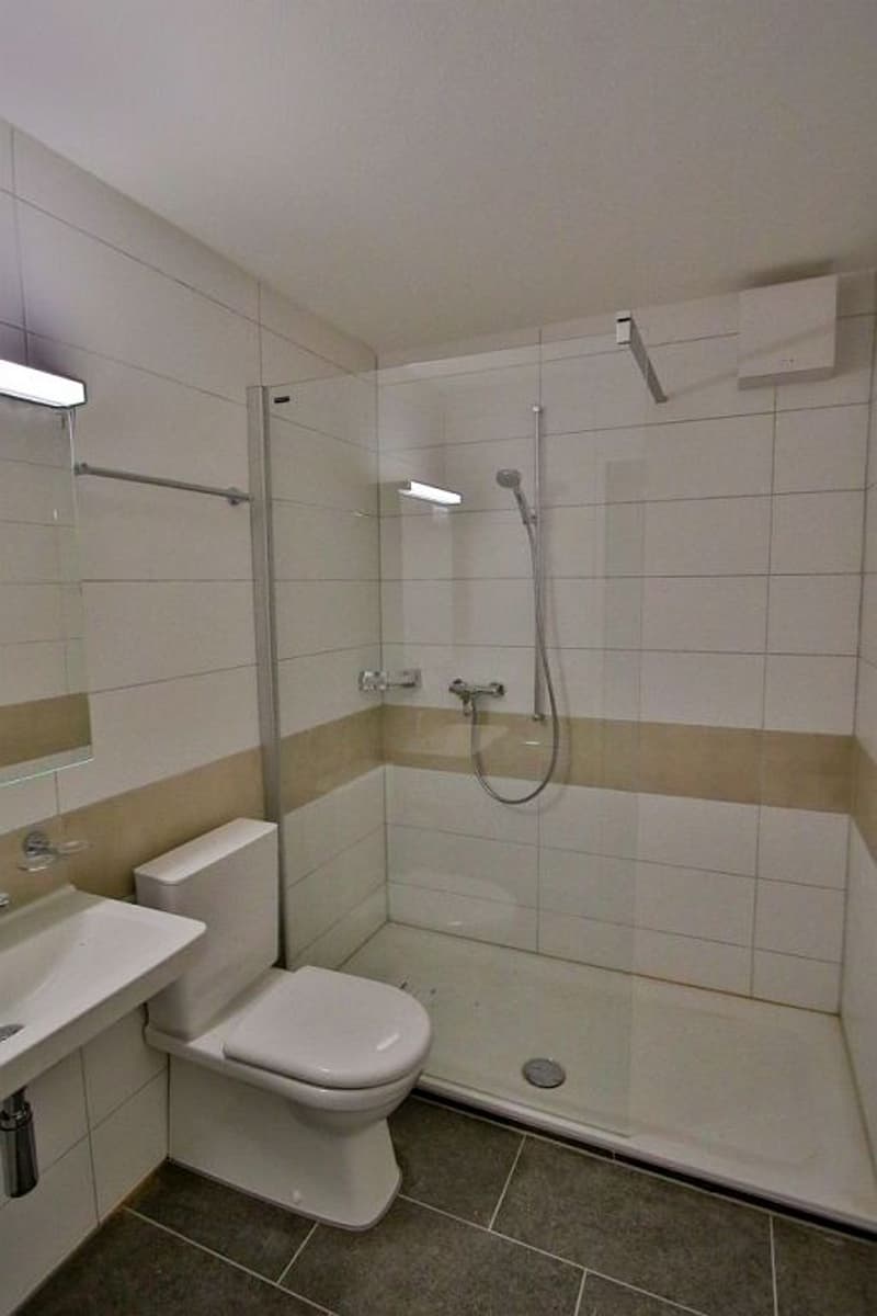 3 1/2-Zimmerwohnung, 3. Stock rechts (7)