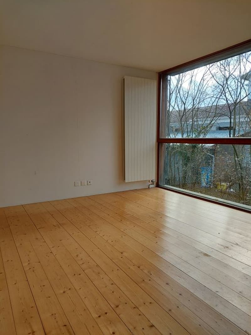 einmaliges 3 1/2-Zimmer-Tinyhouse (4)