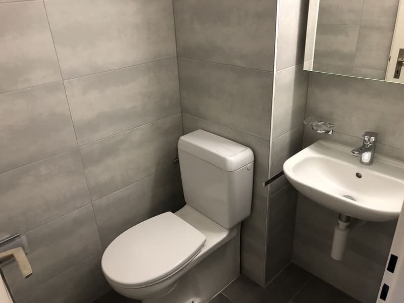 Charmante 4 1/2-Zimmerwohnung, 2. Stock rechts (5)