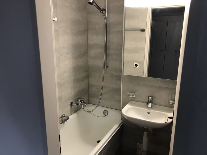 Charmante 4 1/2-Zimmerwohnung, 2. Stock rechts (4)