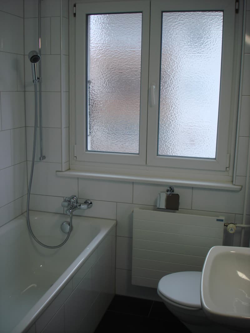 3-Zimmerwohnung, 1. Stock rechts (6)