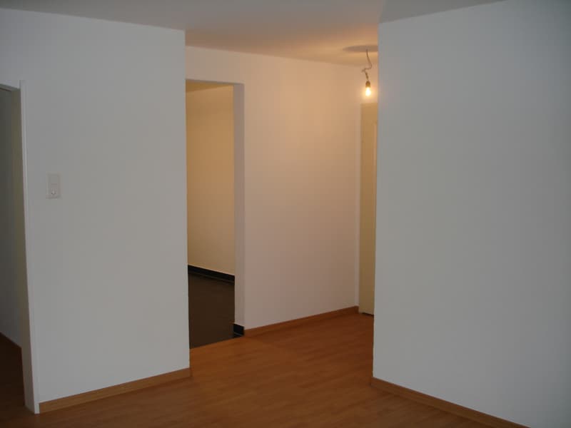 3-Zimmerwohnung, 1. Stock rechts (3)