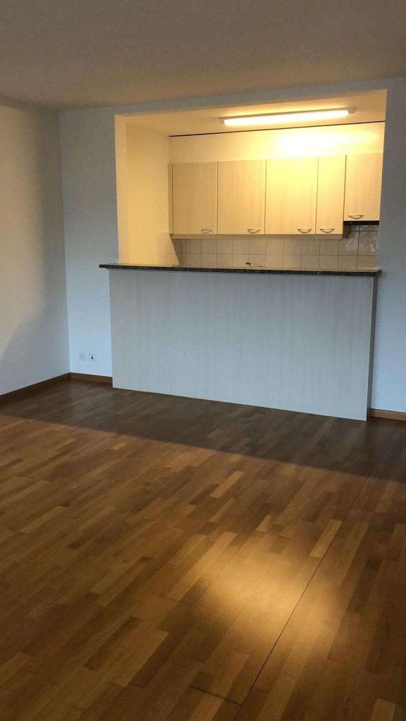 3 1/2-Zimmerwohnung, Parterre rechts (5)