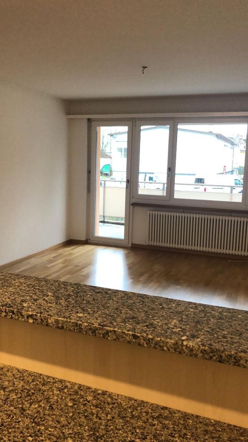 3 1/2-Zimmerwohnung, Parterre rechts (6)