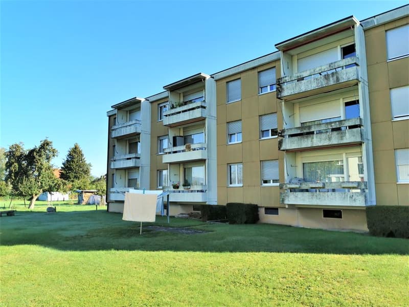 3 1/2-Zimmerwohnung, 2. Stock rechts (1)