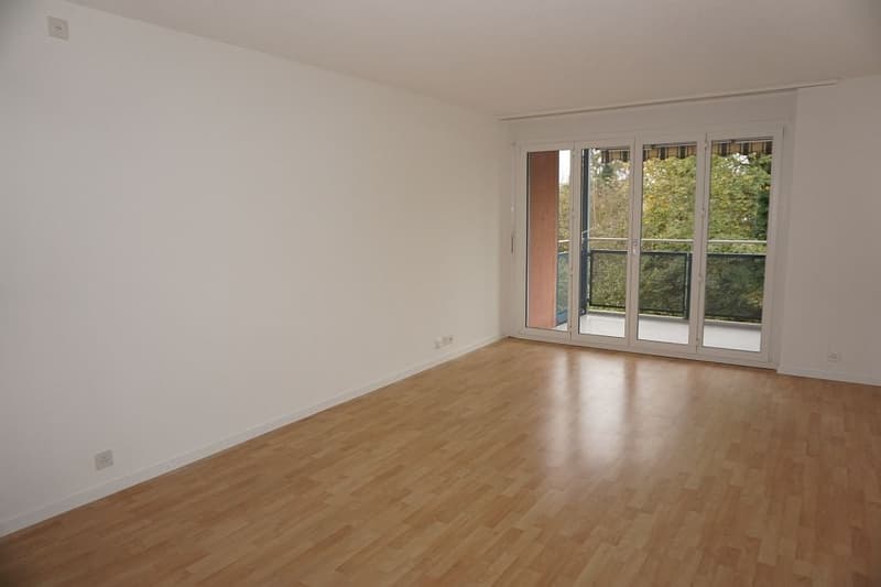 2 1/2-Zimmerwohnung, 2. Stock rechts (4)