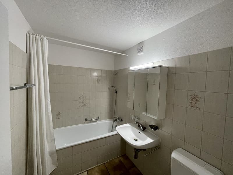 Grosse 3 1/2-Zimmerwohnung, 1. Stock links (7)