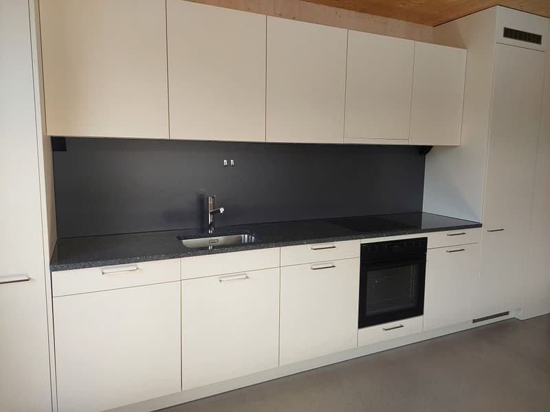 3.5-Zimmerwohnung, Parterre links (3)
