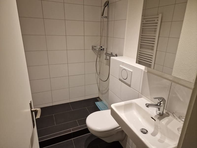 moderne 3-Zimmerwohnung, 1. Stock links (7)