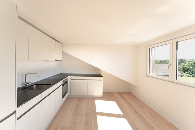 2 1/2-Zimmerwohnung im Dachstock rechts (3)