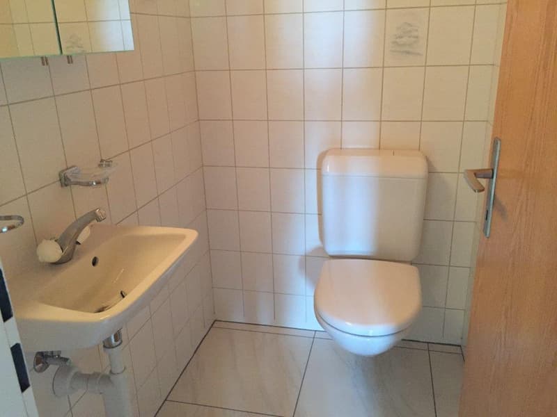 3 1/2-Zimmerwohnung, 2. Stock links (5)