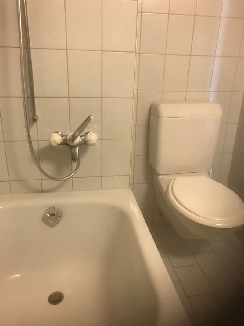 2-Zimmerwohnung, 2. Stock mitte (6)