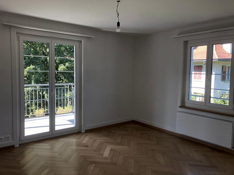 3-Zimmerwohnung, Parterre (6)