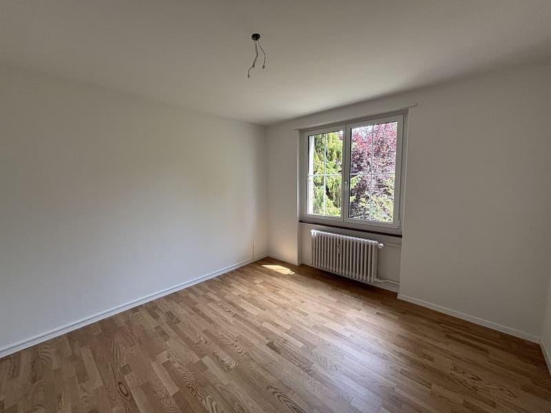 Sanierte 3 1/2-Zimmerwohnung, 1. Stock links (6)
