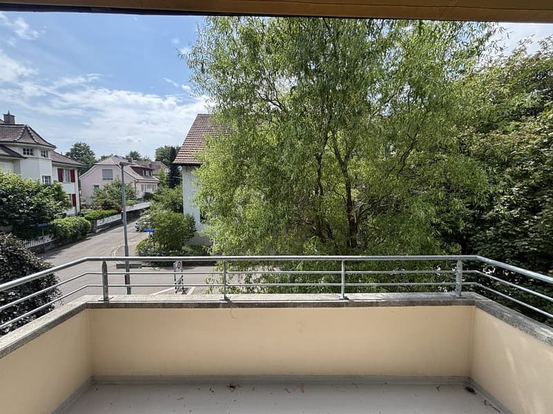 Sanierte 3 1/2-Zimmerwohnung, 1. Stock links (9)