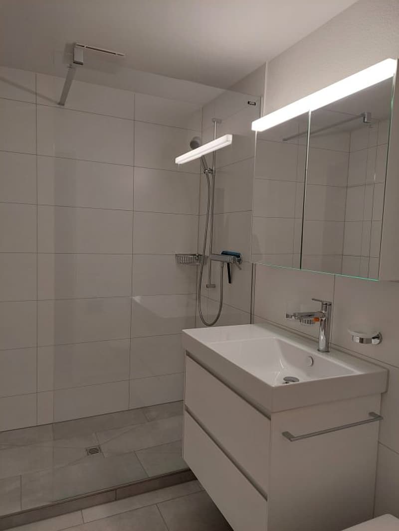 2-Zimmerwohnung, 1. Stock links (8)