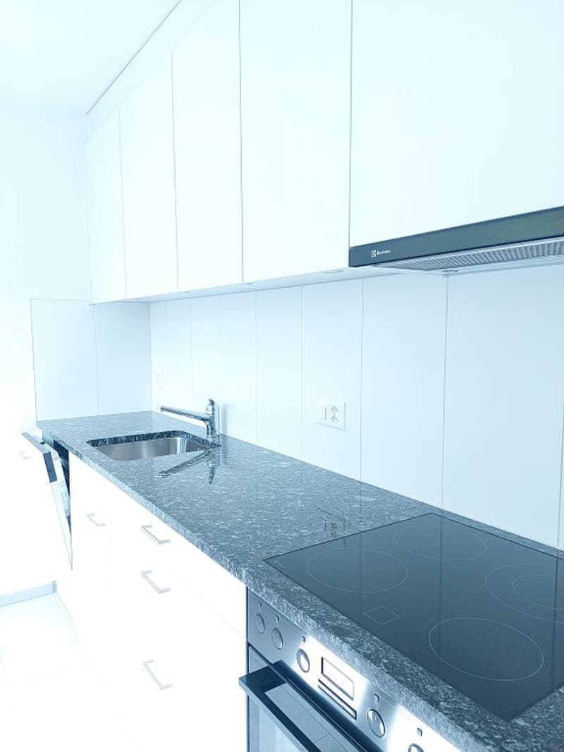 2-Zimmerwohnung, 1. Stock links (6)
