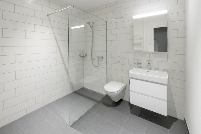 zwei 3.5- Zimmerwohnungen, im 1. + 2. OG links mit zusätzlichem Mansardenzimmer (6)
