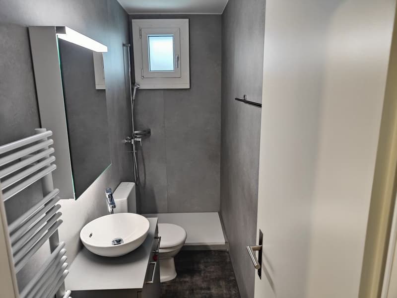 3-Zimmerwohnung, 1. Stock rechts (13)