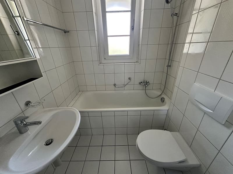 3 1/2-Zimmerwohnung, 2. Stock links (8)
