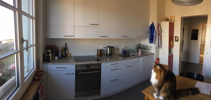 3-Zimmerwohnung, 2. Stock (5)