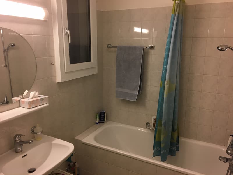 3-Zimmerwohnung, 2. Stock (6)