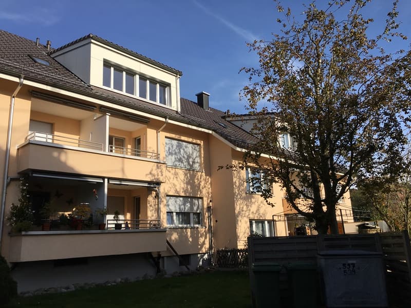 1-Zimmerwohnung, 2. Stock rechts (1)