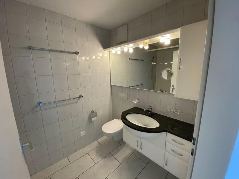 Wundervolle 3 1/2-Zimmerwohnung, 3. Stock links (9)