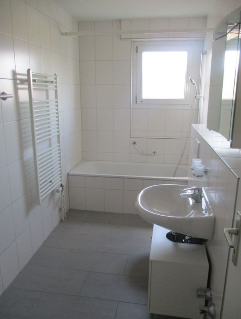 nähe ÖV - Einkaufsmöglichkeiten in der Nähe (7)