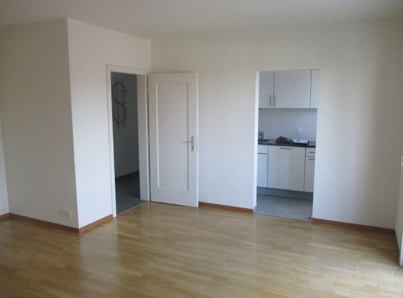 nähe ÖV - Einkaufsmöglichkeiten in der Nähe (5)