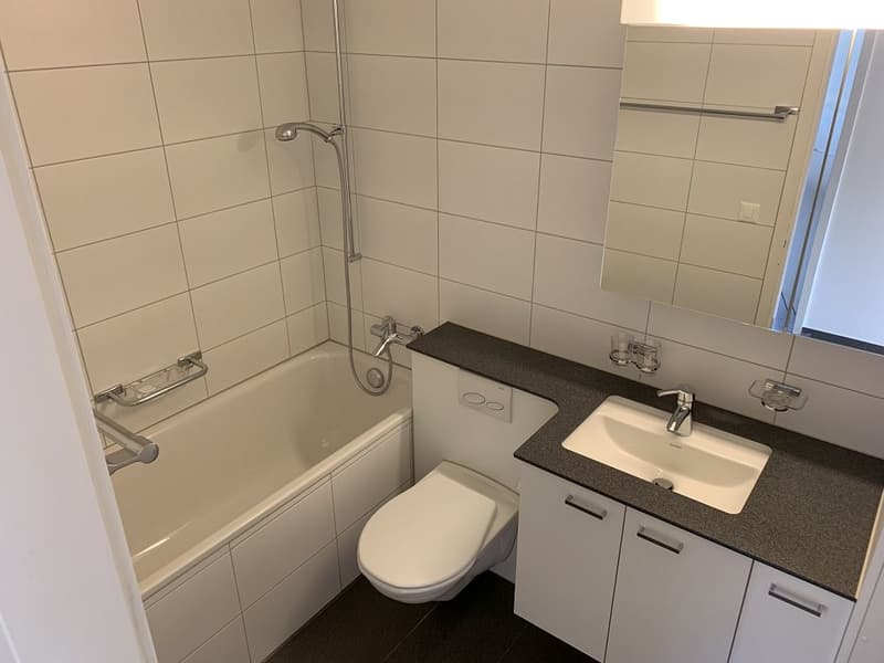 3 1/2-Zimmerwohnung, Parterre rechts (7)
