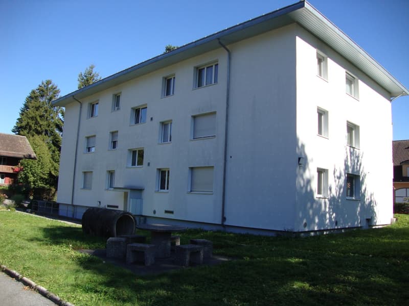 3 1/2-Zimmerwohnung, Parterre rechts (1)