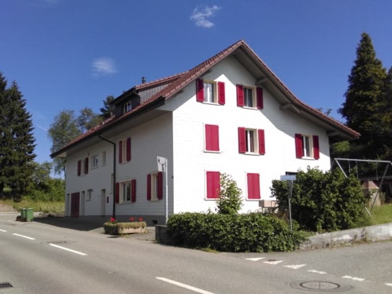 2-Zimmerwohnung, 2. Stock (1)